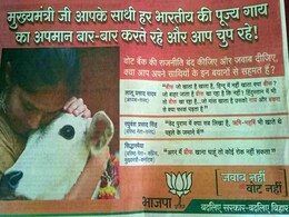 Holy Cow! BJP Ad Rubs It In Before Final Voting in Bihar Holy Cow! BJP Ad Rubs It In Before Final Voting in Bihar
