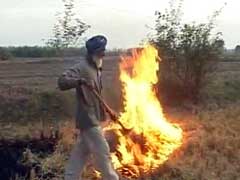 अब मध्य प्रदेश में भी फसल के कचरे को जलाने पर लगी रोक, लगेगा जुर्माना