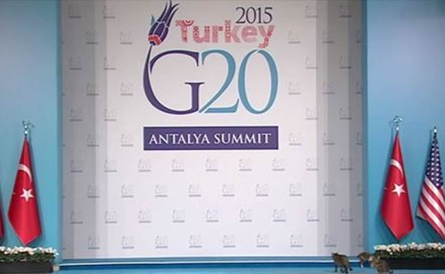 The Moment When 3 Cats Steal the Thunder From PM Modi and Barack Obama