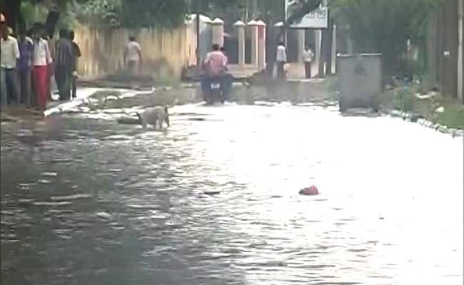 For Basic Amenities, Chennai IT Corridor Residents Nominate Shadow Councilors