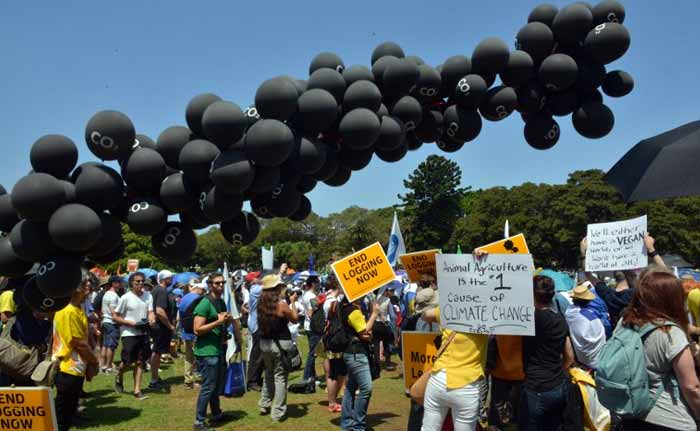 Worldwide Rallies Demand Action on Climate Change