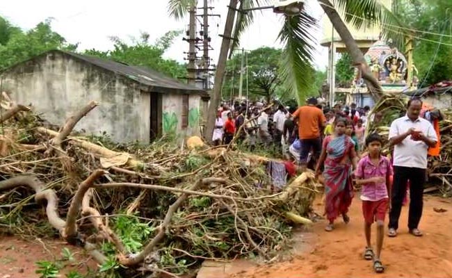 19 Persons Killed in Two Days in Rain Related Incidents in Tamil Nadu
