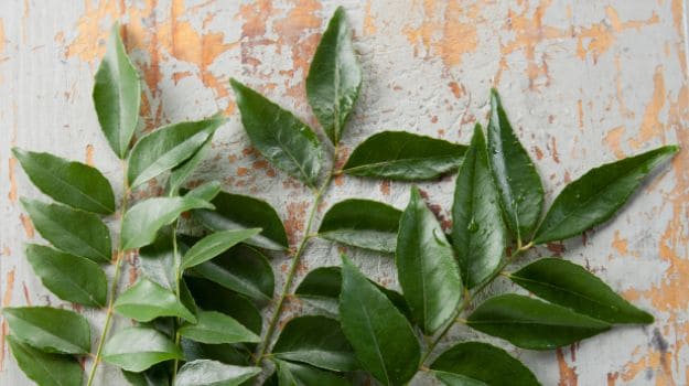 How to use curry leaves for hair growth  India Today