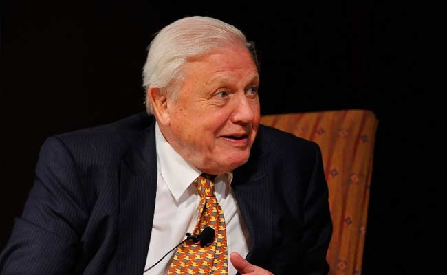 What It's Like to Interview Sir Attenborough