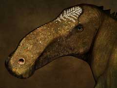 'Superduck' Dinosaur Provides Insight into Elaborate Head Crests