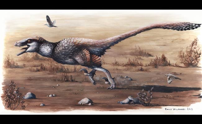 Is it a Bird? is it a Plane? Meet the Freaky Feathered Dinosaur
