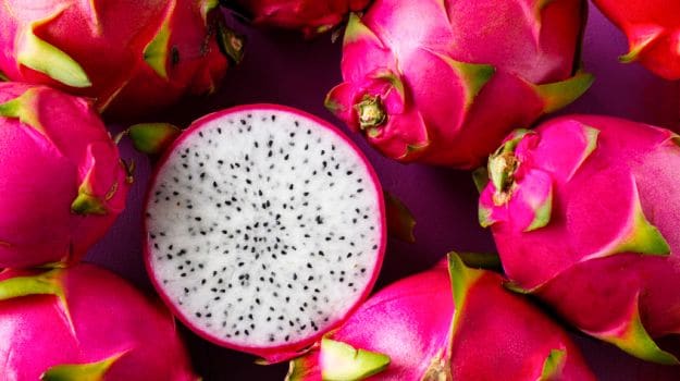 Benefits of Dragon Fruit: बीमारियों से दूर रखता है ड्रैगन फ्रूट, जानिए इसके गजब के फायदे Benefits of Dragon Fruit: बीमारियों से दूर रखता है ड्रैगन फ्रूट, जानिए इसके गजब के फायदे