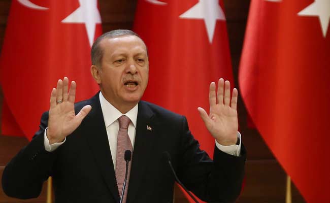 Turkish President 'Saddened' by Downing of Russian Jet
