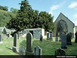 One of Europe's Oldest Trees is Changing Its Sex One of Europe's Oldest Trees is Changing Its Sex