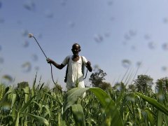 Government Launches E-Trading Platform For Farmers