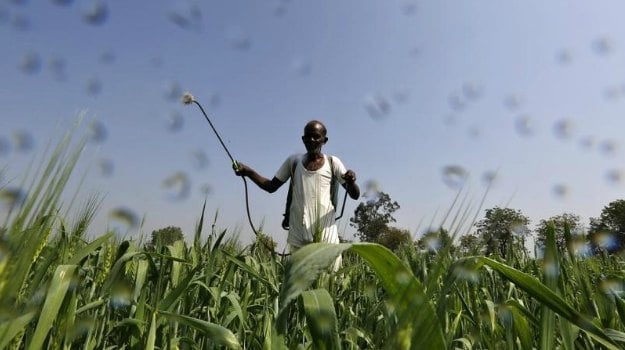 Fake Pesticides Endanger Crops and Human Health in India