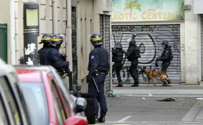 French Police Dog Diesel Killed By Terrorists During Paris Raid