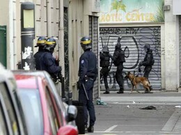 French Police Dog Diesel Killed By Terrorists During Paris Raid French Police Dog Diesel Killed By Terrorists During Paris Raid