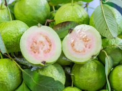 Guava Recipes: चटनी से लेकर हलवा तक, अमरूद से बनने वाली इन स्वादिष्ट रेसिपीज को आज ही करें ट्राई