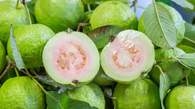 Guava Recipes: चटनी से लेकर हलवा तक, अमरूद से बनने वाली इन स्वादिष्ट रेसिपीज को आज ही करें ट्राई