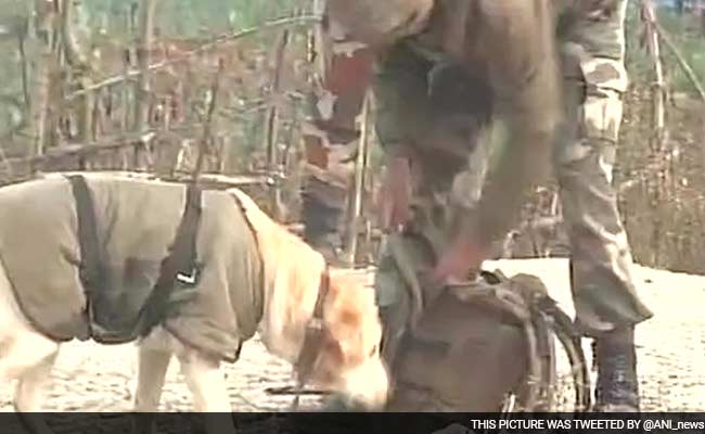 Improvised Explosive Device Found on Srinagar-Baramulla Road Defused