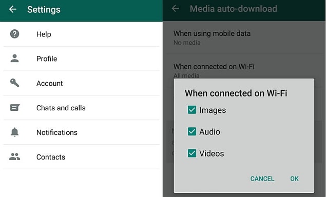 media autodownload whatsapp 5