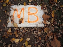 Michael Brown, Whose Death Fueled Protest, Lies in Obscurity Michael Brown, Whose Death Fueled Protest, Lies in Obscurity