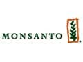 Monsanto India Shares Slump Over GM Seeds Norms