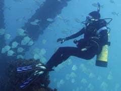 Lost At Sea: CO2 May 'Intoxicate' Fish, Says Study