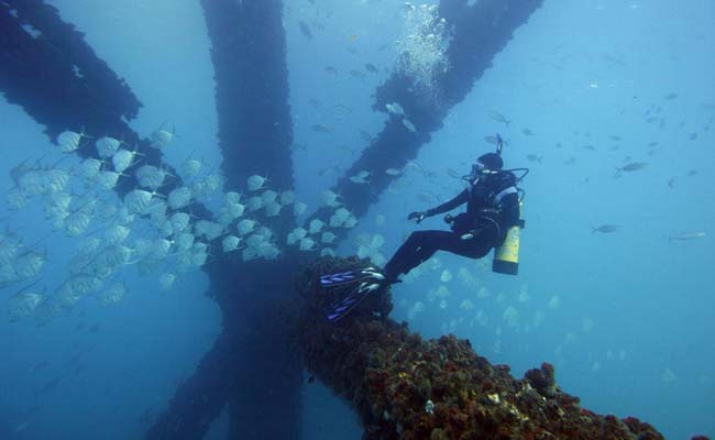 Scientists Discover How Ocean Fish Magically Disappear. Now the Navy Wants to Know