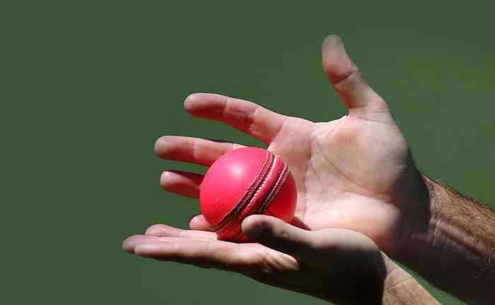 दिलीप ट्राफी में पिंक गेंद को मिल सकती है बीसीसीआई से हरी झंडी