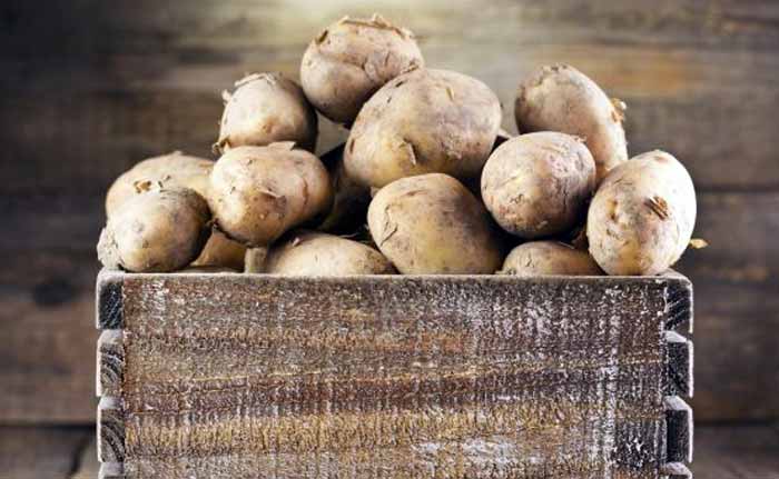 Eating Potatoes May Cut Stomach Cancer Risk: Study