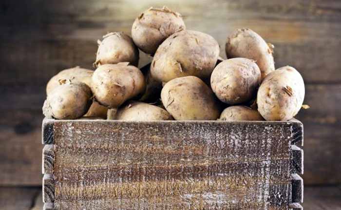 Potatoes To Be Grown On Earth Under Martian Conditions