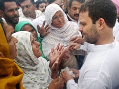 Rahul Gandhi to Meet President Over Punjab Shooting Deaths