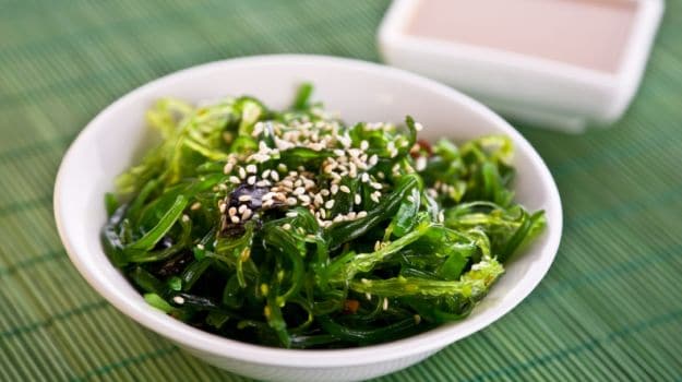 edible seaweeds of the world