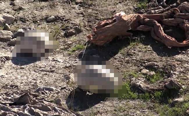 Bomb-rigged Mass Grave of ISIS Victims Found in Iraq