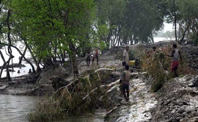 Meet Every Month For Identification Of Wetlands: Green Panel To Government