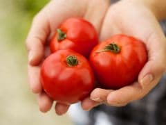 Onion Twist: Tomato Prices Rise by 50 Per Cent at Rs 62 Per Kilogram