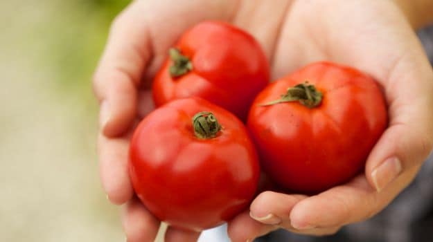 Not Again! Tomato Prices Soar Due to Decline in Supplies