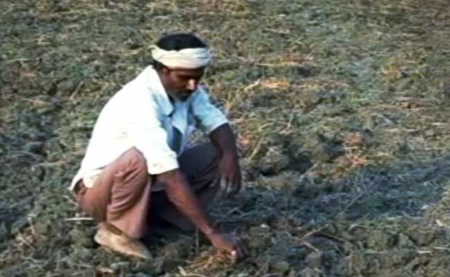He Lost His Crop, Got Rs 13 From Insurance