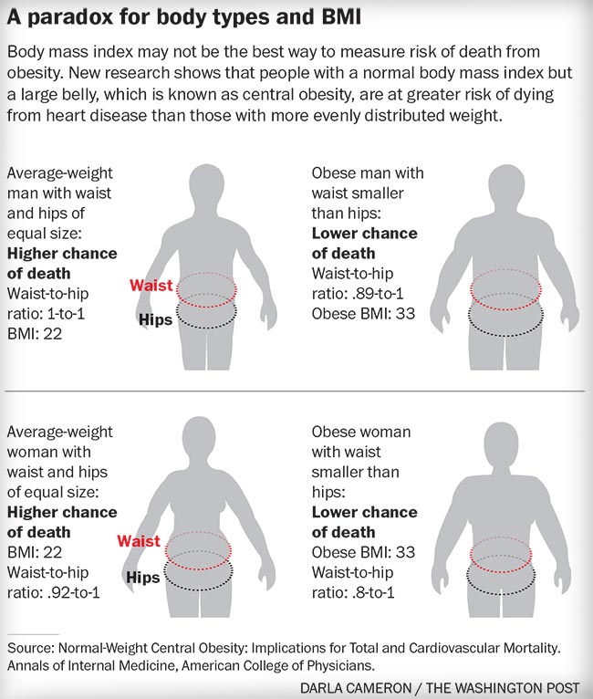 Belly Measurements Chart