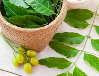 Neem For Hair: How To Use The Desi Wonder For All Your Hair Problems - NDTV  Food