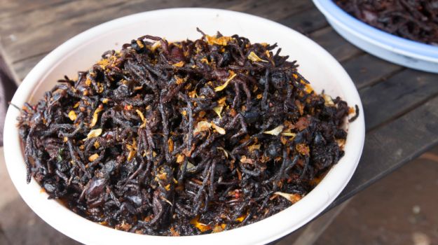 Spiders On the Menu as Northeast India Embraces Slow Food