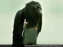 This Strange Story About ISIS Using Birds As Suicide Bombers Shows How Life Can Imitate Art This Strange Story About ISIS Using Birds As Suicide Bombers Shows How Life Can Imitate Art