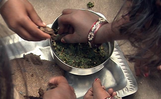 'Grass, Weeds Traditional Diet': How UP Government Covered Up NDTV Report On Hunger