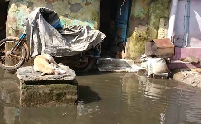 Illegal Construction, Encroachments Make Chennai Vulnerable To Heavy Rain