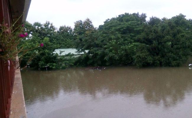 Declare Chennai Floods as National Disaster: DMK Lawmaker Kanimozhi Karunanidhi