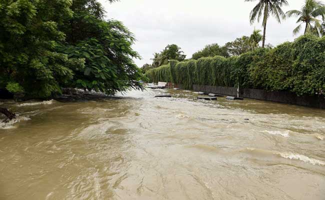 Braving Chennai Rains, Many Couples Tie the Knot