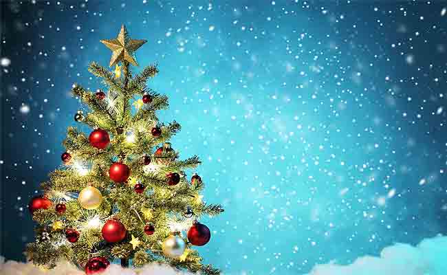Christmas 2024: Here Are 8 Eco-Friendly Ways To Decorate House This Holiday Season Christmas 2024: Here Are 8 Eco-Friendly Ways To Decorate House This Holiday Season
