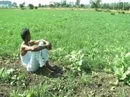 Why Small Farmers In Tamil Nadu Borrow Money At 60 Per Cent Interest Why Small Farmers In Tamil Nadu Borrow Money At 60 Per Cent Interest