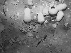 Colombia Finds Treasure Galleon, Ending 300-Year Mystery