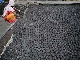 Cow Dung Patties Selling Like Hot Cakes Online Cow Dung Patties Selling Like Hot Cakes Online