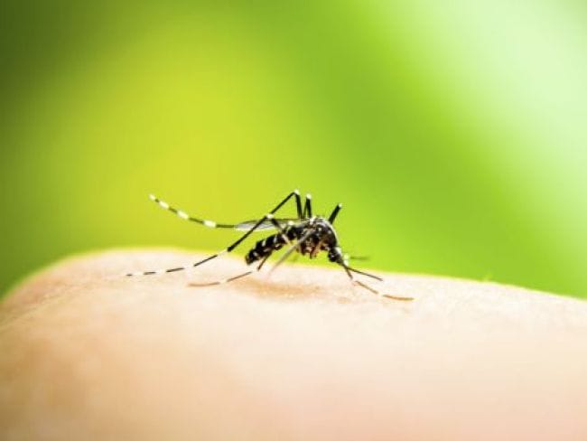 Philippines Launches World's First Mass Dengue Vaccination