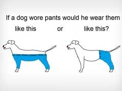 'How Should A Dog Wear Pants' Is The Meme We Deserve For The End Of 2015