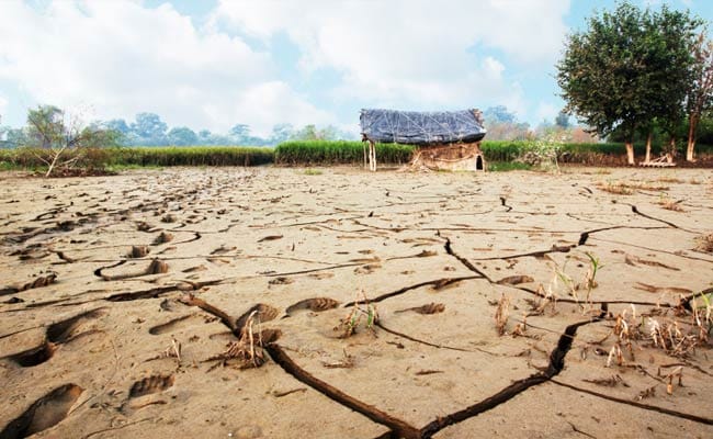 Maharashtra Drought: Marathwada Water Scene Grim, Only 5% Stock Left In Dams